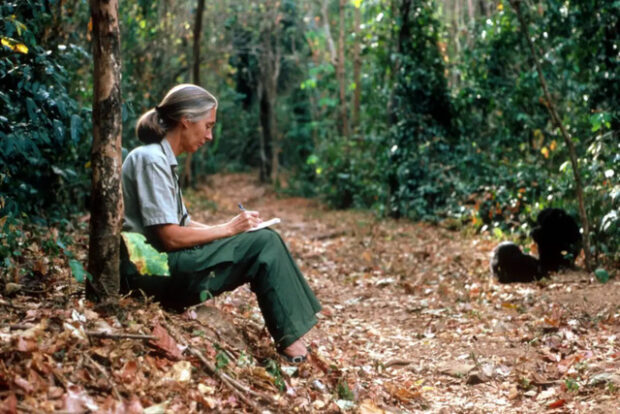 Jane Goodall, Jane Goodall utolsó üzenete – „Célja van annak, hogy itt vagytok!”
