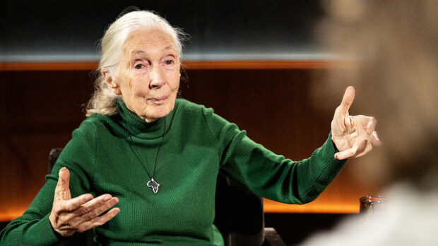 Jane Goodall, Jane Goodall utolsó üzenete – „Célja van annak, hogy itt vagytok!”