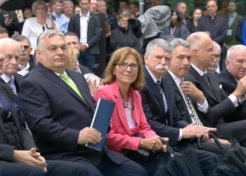 ŐRÜLT GAZDAGODÁS – Haveri kapitalizmus