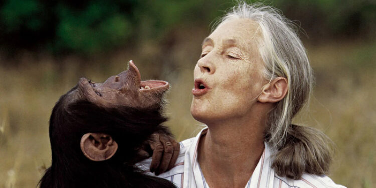 Jane Goodall, Jane Goodall utolsó üzenete – „Célja van annak, hogy itt vagytok!”