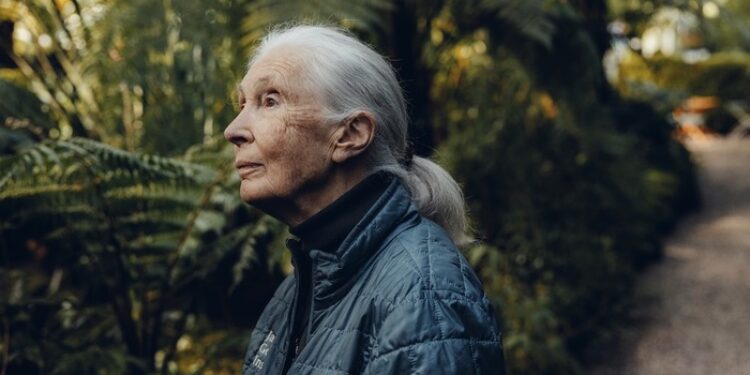 Jane Goodall, MEGHALT JANE GOODALL – Ha a reményt feladjuk, elveszünk