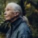 MEGHALT JANE GOODALL &ndash; Ha a&nbsp;rem&eacute;nyt feladjuk, elvesz&uuml;nk