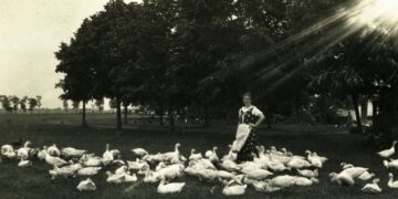 MÁRTON-NAP – Alábbszállt, egyszerűvé lett ünnep