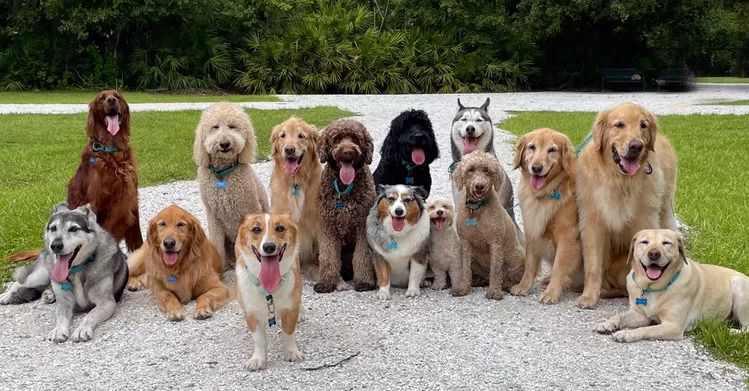 Nyomtass te is!, NYOMTASS TE IS! – Lehet-e hazugságokkal választást nyerni?