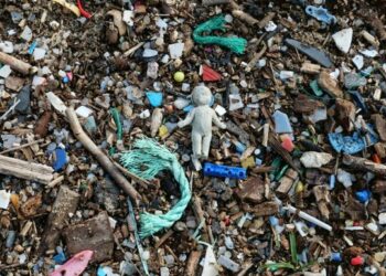 MIKROMŰANYAGOK – Magyarország vezető a kutatásban