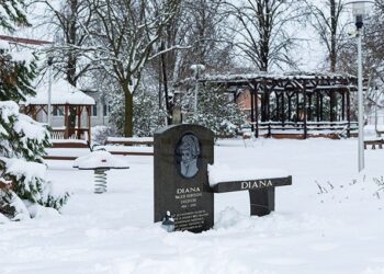 M&Eacute;DIASZEMLE &ndash; V&aacute;logat&aacute;s a f&uuml;ggetlen helyi sajt&oacute; &iacute;r&aacute;saib&oacute;l