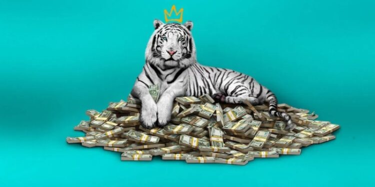 A fehér tigris, A FEHÉR TIGRIS – Nincs bűnbánat