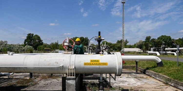 horvát–magyar olaj, Horvát–magyar vita az X-en: „Olaj: igen. Orosz: nem!”