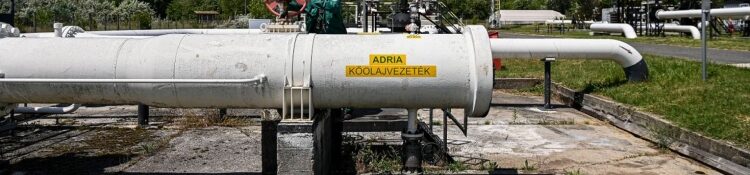 Horvát–magyar vita az X-en: „Olaj: igen. Orosz: nem!”