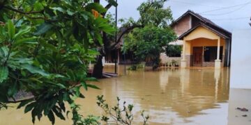 5 tan&aacute;cs a teljes be&aacute;z&aacute;s elker&uuml;l&eacute;s&eacute;hez