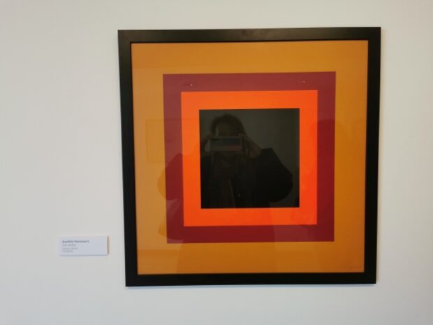 Vass-kollekció, VASS‑KOLLEKCIÓ –Tisztelet a gyűjtőnek!