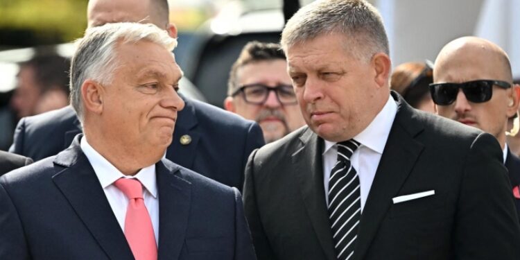 GY&Aacute;SZFELDOLGOZ&Aacute;S &ndash; T&uuml;k&ouml;r&nbsp;&aacute;ltal hom&aacute;lyosan