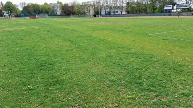 veszprémi futball, SZUBJEKTÍV – Hogyan tovább veszprémi futball?