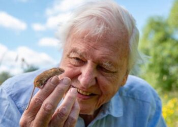 100. sz&uuml;let&eacute;snap &ndash; Attenborough a&nbsp;term&eacute;szet megmentője, a&nbsp;vil&aacute;g tan&aacute;ra