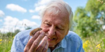 100. sz&uuml;let&eacute;snap &ndash; Attenborough a&nbsp;term&eacute;szet megmentője, a&nbsp;vil&aacute;g tan&aacute;ra