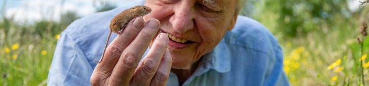 100. születésnap – Attenborough a természet megmentője, a világ tanára