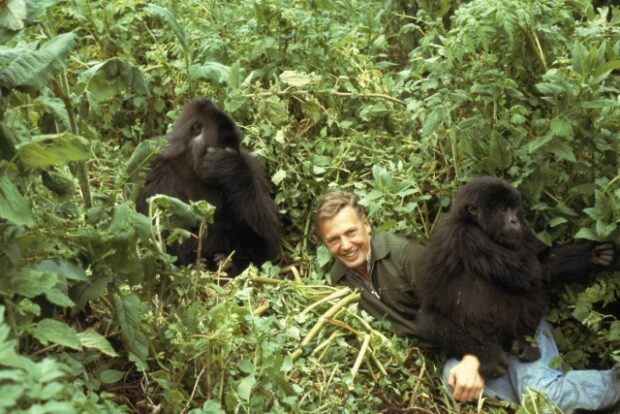 Attenborough, 100. születésnap – Attenborough a természet megmentője, a világ tanára