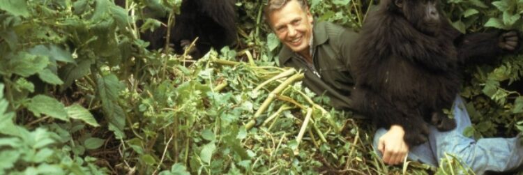 100. születésnap – Attenborough a természet megmentője, a világ tanára