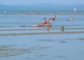BALATON &ndash; M&eacute;gsem sz&aacute;rad ki?