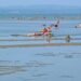 BALATON &ndash; M&eacute;gsem sz&aacute;rad ki?