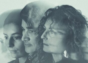 FILM &ndash; F&ouml;ld &eacute;s vas