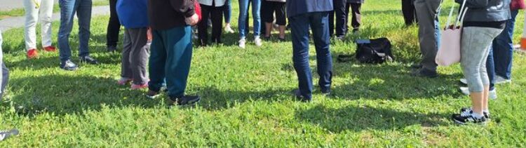 HASZKOVÓ BUSZFORDULÓ – Kinek az érdeke?