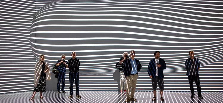 Vasarely, VASARELY – Amikor életre kelnek a művek