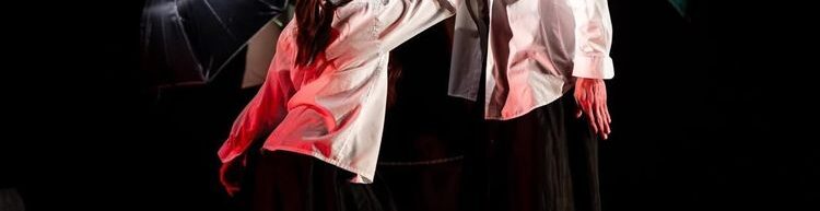 TÁNCFESZTIVÁL – A Veszprémi Táncműhely a közönségdíjas