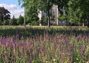K&Ouml;ZGYŰL&Eacute;S &ndash; Nem k&ouml;telező &eacute;vente h&aacute;romszor kasz&aacute;lni