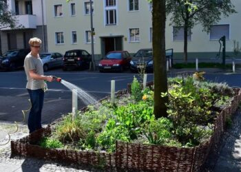 KÖZÖSSÉGI LOCSOLÁS – Segítség a fáknak