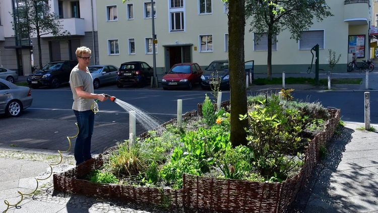 K&Ouml;Z&Ouml;SS&Eacute;GI LOCSOL&Aacute;S &ndash; Seg&iacute;ts&eacute;g a&nbsp;f&aacute;knak