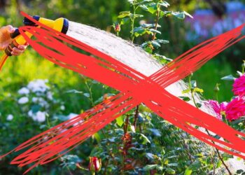 BAKONYKARSZT ZRT. &ndash; Haszn&aacute;ljuk felelősen a vizet!