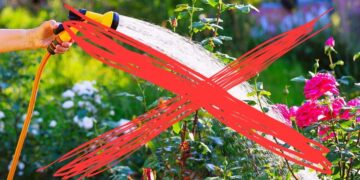 BAKONYKARSZT ZRT. &ndash; Haszn&aacute;ljuk felelősen a vizet!