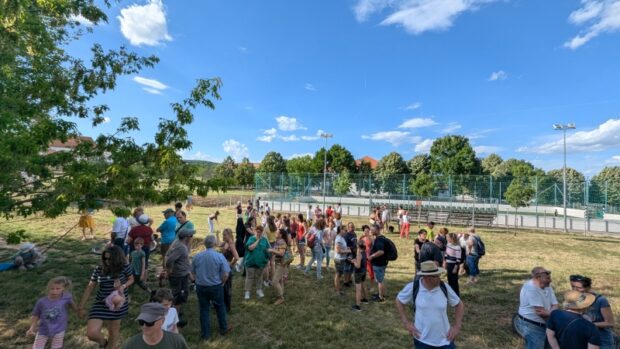 Mandulás, MANDULÁS – Részvételi demokrácia kontra képviseleti demokrácia