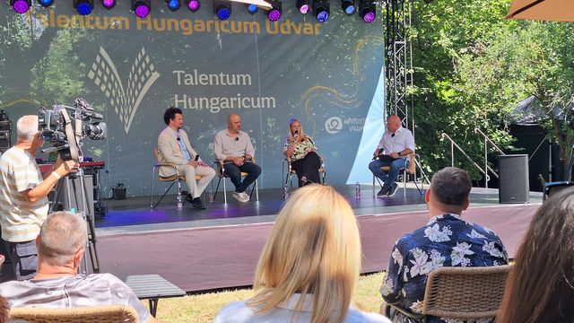 Művészetek Völgye, MŰVÉSZETEK VÖLGYE – A kultúra dialógus