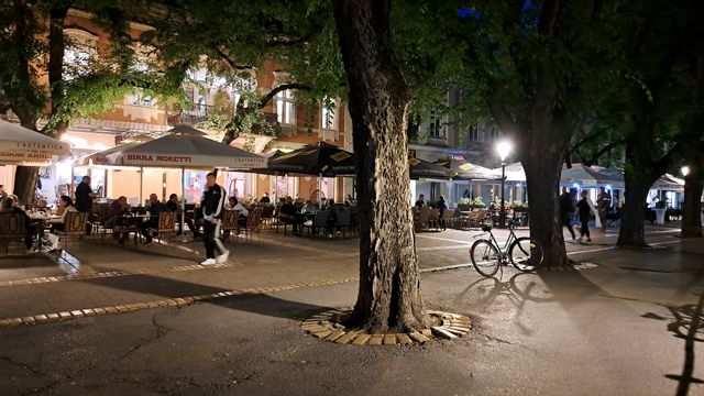 fák, MÁSHOL BEVÁLT – Nálunk miért nem?