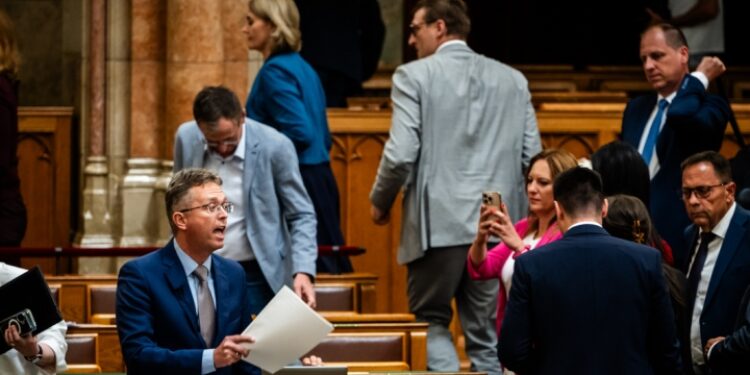 Hankó búcsúja, HANKÓ KÖNNYES BÚCSÚJA – Amatőr látványosság
