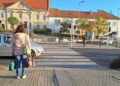 R&Eacute;SZV&Eacute;TELI K&Ouml;LTS&Eacute;GVET&Eacute;S &ndash; Okt&oacute;ber 20-&aacute;n indul a szavaz&aacute;s